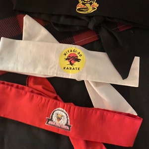 Cobra karate headbands