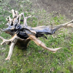 Kraken; XXL Bog Aged Resinous Tree Stump