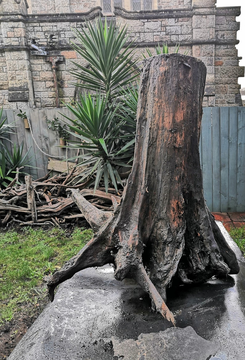 XL Organic Tree Stump. Glass Table Base. Centrepiece Etsy UK