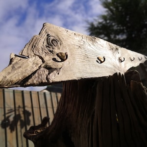 A Happy Coat Rack Or A Duck?