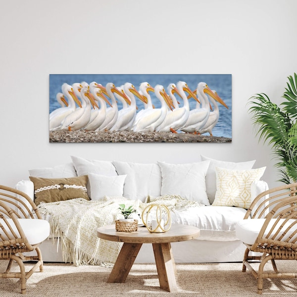 Pelican Congo Line Panorama Photo, Housewarming Gift, Bedroom Art, Office Decor, Gift for Traveler, Photography Wall Art, Large Wall Art