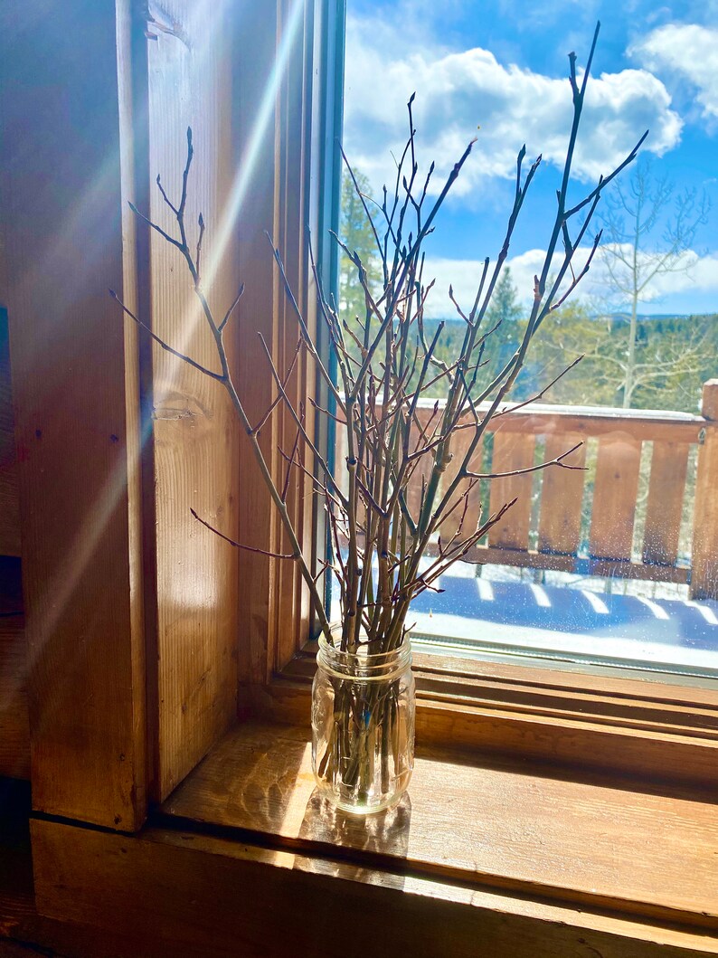 Natural aspen tree branches Woodland Bouquet home decor Etsy