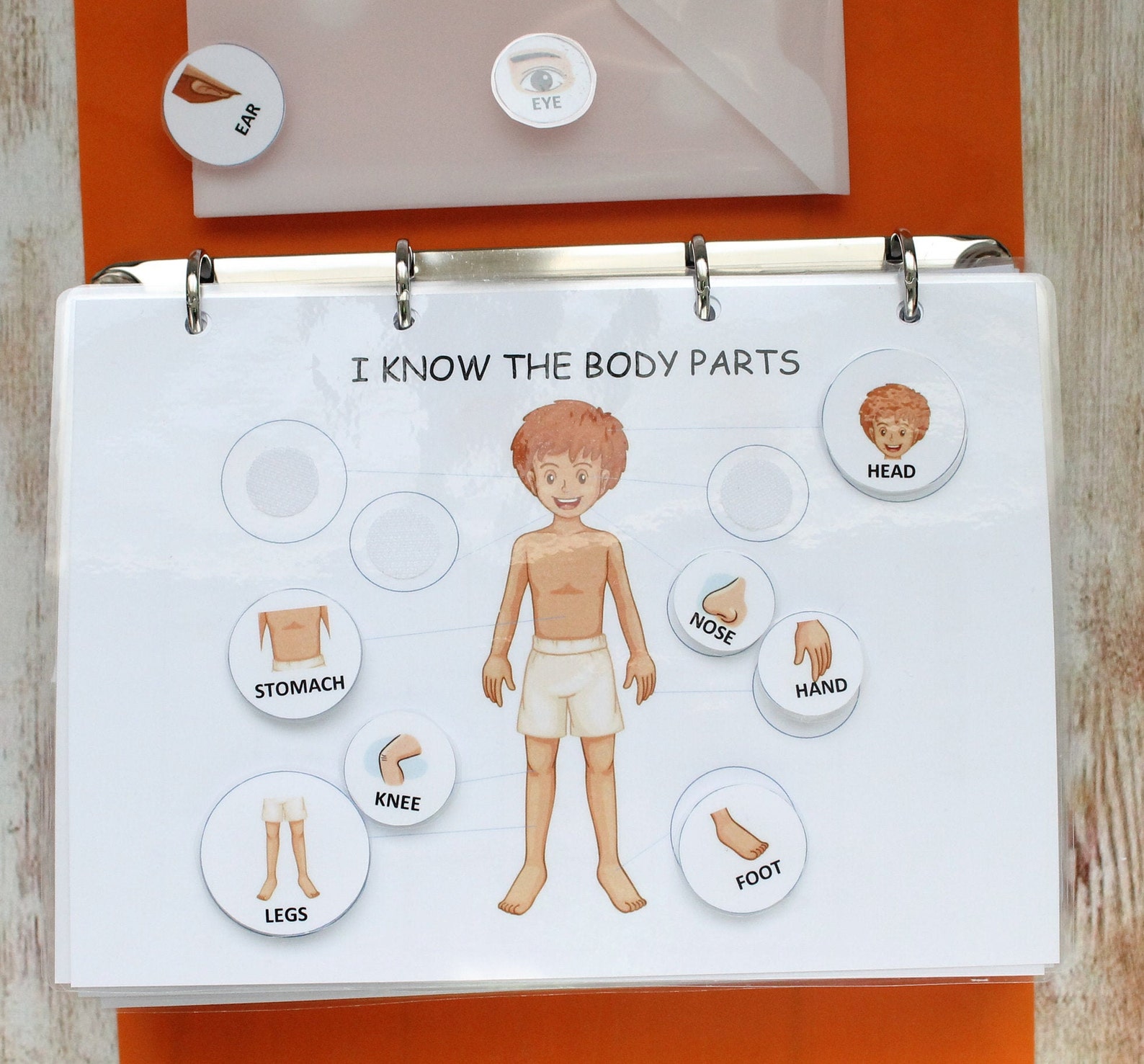 Toddler Busy Book Page Body Parts Matching Toddler Learning Etsy
