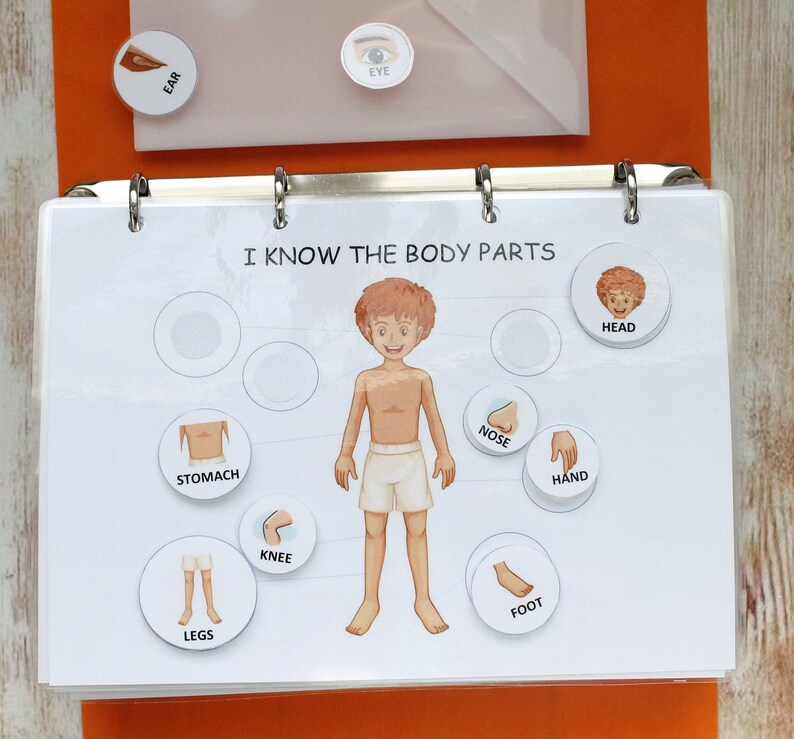 Toddler Busy Book Page Body Parts Matching Toddler Learning Etsy