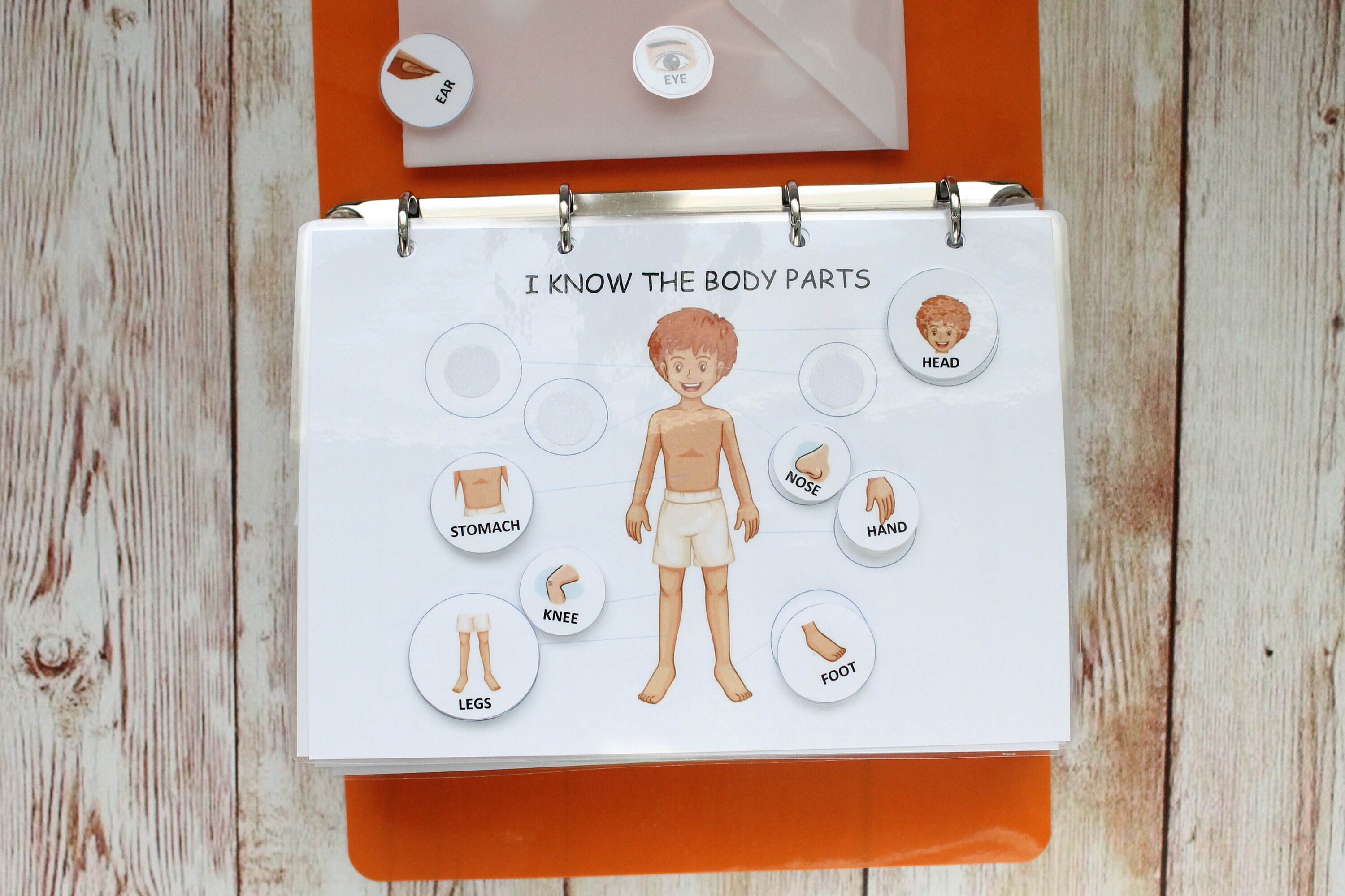 Toddler Busy Book Page Body Parts Matching Toddler Learning Etsy