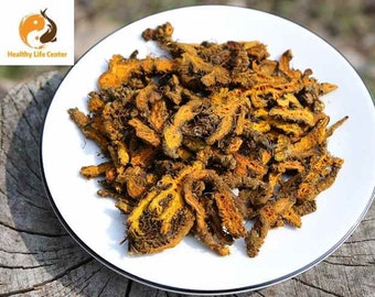 High Quality/黄莲/黄连/Huang Lian/Rhizoma Coptidis Goldthread /Dried 4 Oz