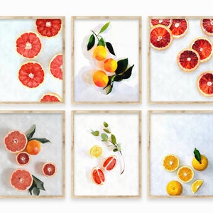 Oranges Wall Art, Set of 6 kitchen prints, Lemon Aquarell print, Citrus prints set, set of six art, Orange Print, Lemon Canvas, A2 Painting