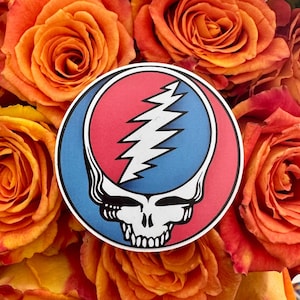 May include: A round sticker featuring a skull with a lightning bolt on a blue and red background. The sticker is set against a backdrop of orange roses.