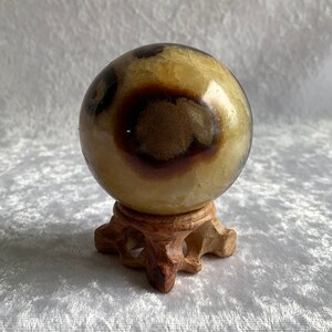 Beautiful Septarian Sphere with Stand