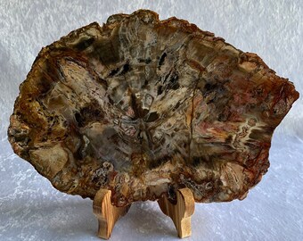 O1322 4 Pieces 16mm ***Excellent Quality~Petrified Fossil PALM WOOD Large Round Beads