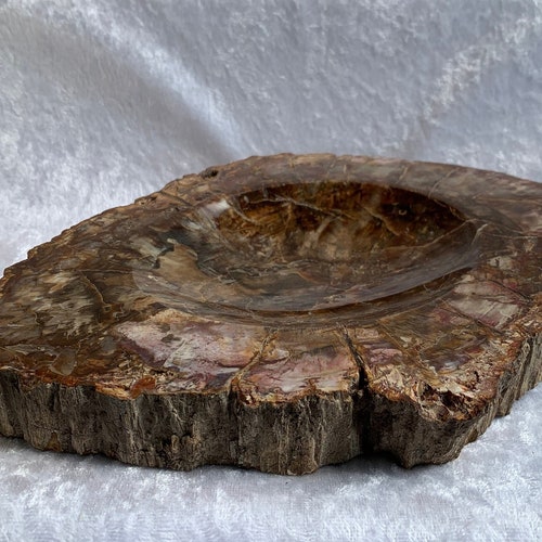 Petrified Wood Bowl Etsy