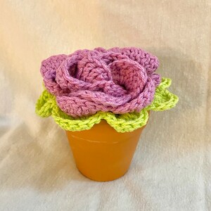 Flower Coasters with Terracotta Pot