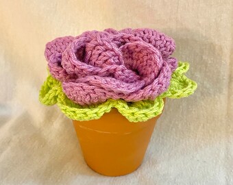 Flower Coasters with Terracotta Pot