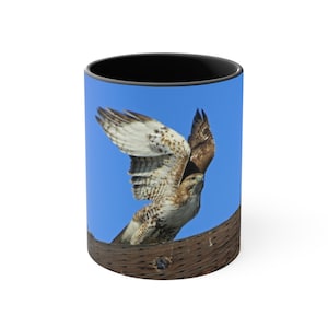 Coffee mug - Red-tailed hawk, Richmond, CA