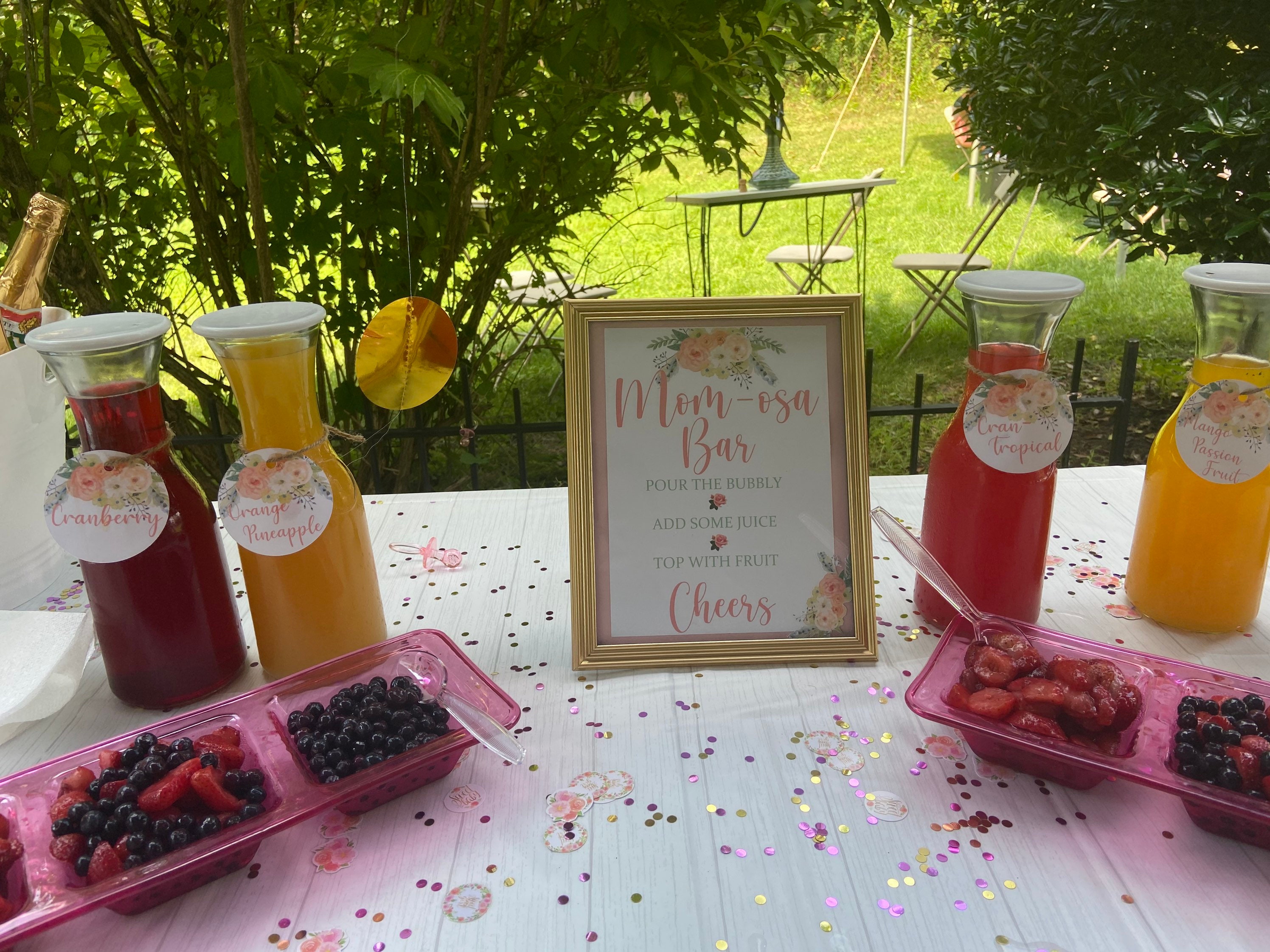 Pack of FOUR Juice Tags Mimosa Stand Decor Mimosa Juice Etsy