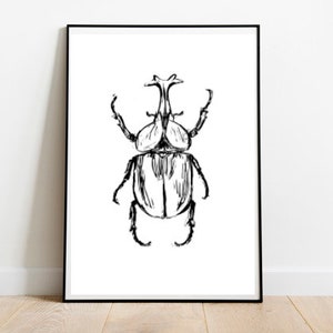 Rhino beetle illustration a4 size wall art image 1