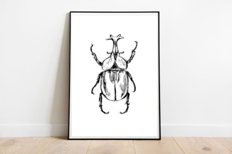 Rhino beetle illustration a4 size wall art image 1