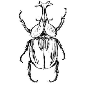 Rhino beetle illustration a4 size wall art image 2
