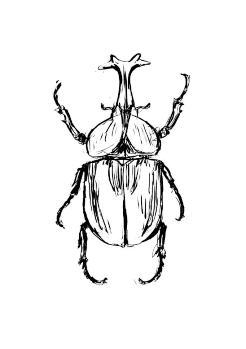 Rhino beetle illustration a4 size wall art image 2