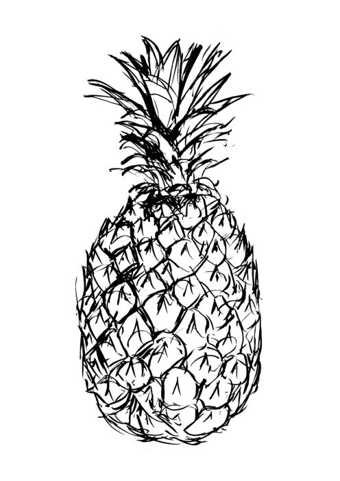 How to draw a simple Pineapple Fruit. Tools Used : A4 size white
