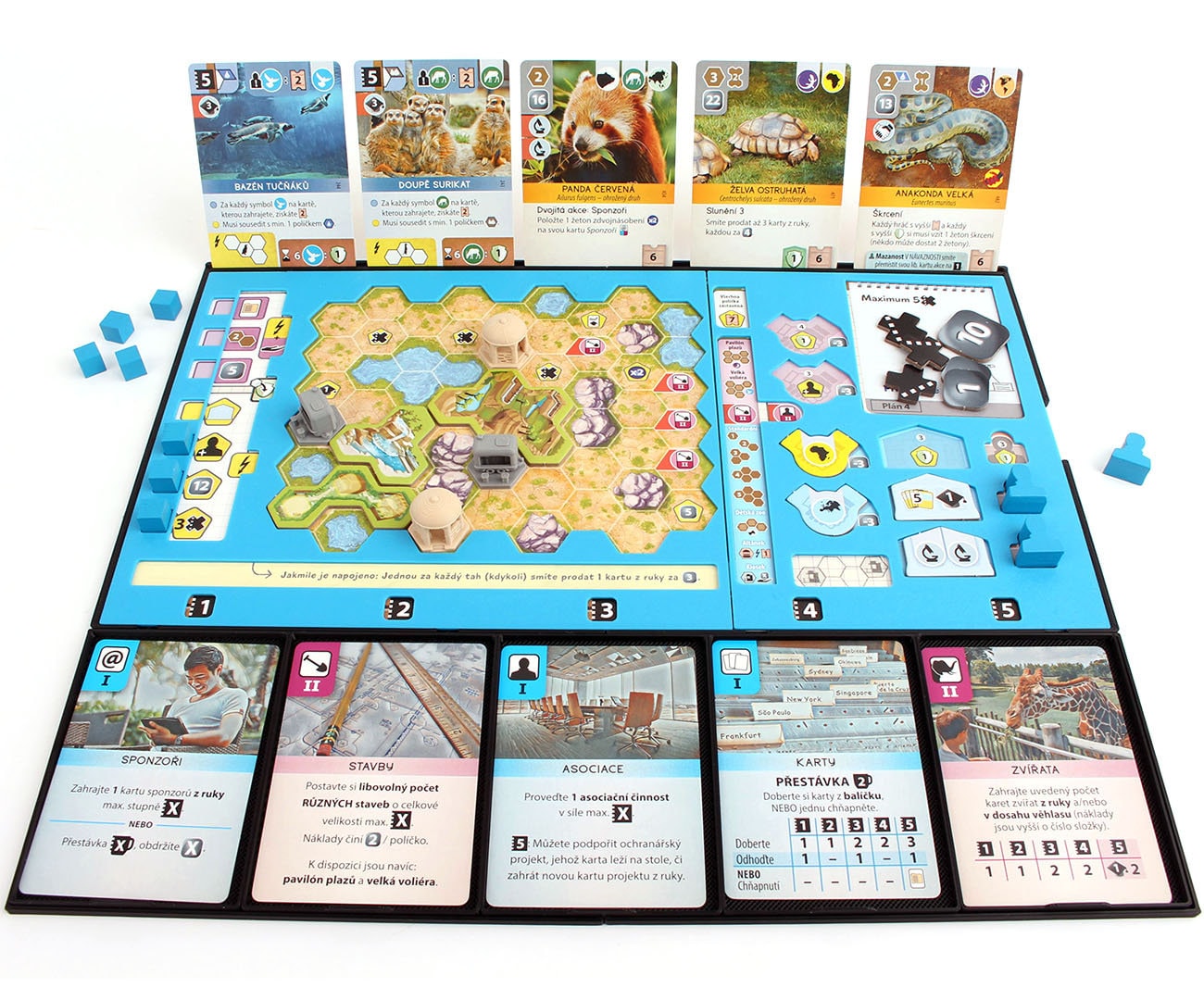 Ark Nova - player dashboard with card holder and action card slider (1pc)