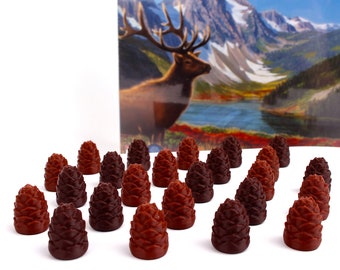 Jetons Cascadia Nature - pommes de pin - 25 pièces