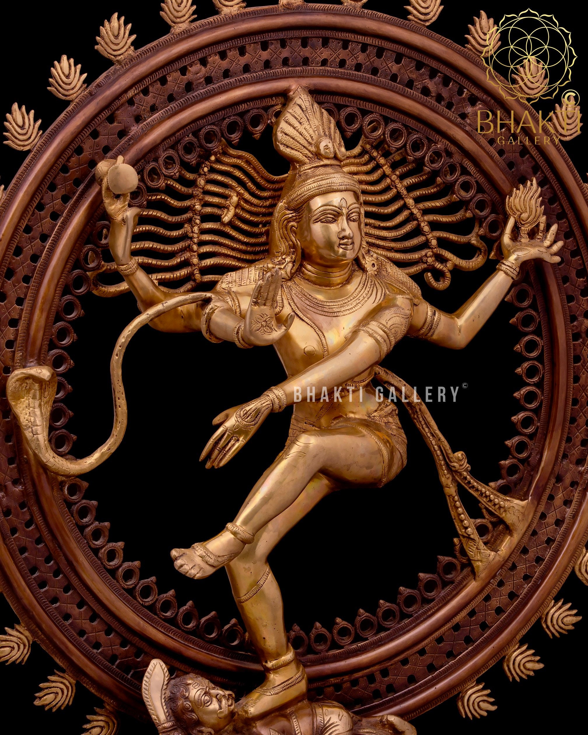 What does Natraj symbolise?