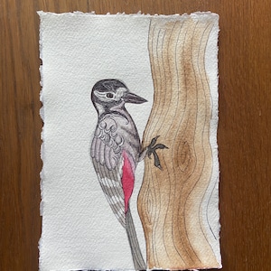 Watercolour bird painting on rag paper