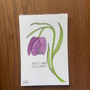 Watercolour flower painting