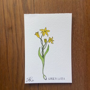 Watercolour flower painting