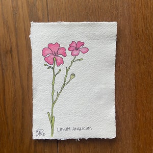 Watercolour flower painting