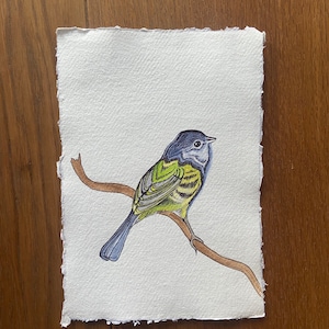 Watercolour bird painting on rag paper