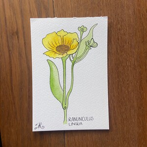Watercolour flower painting