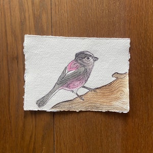 Aquarel vogel schilderij op voddenpapier