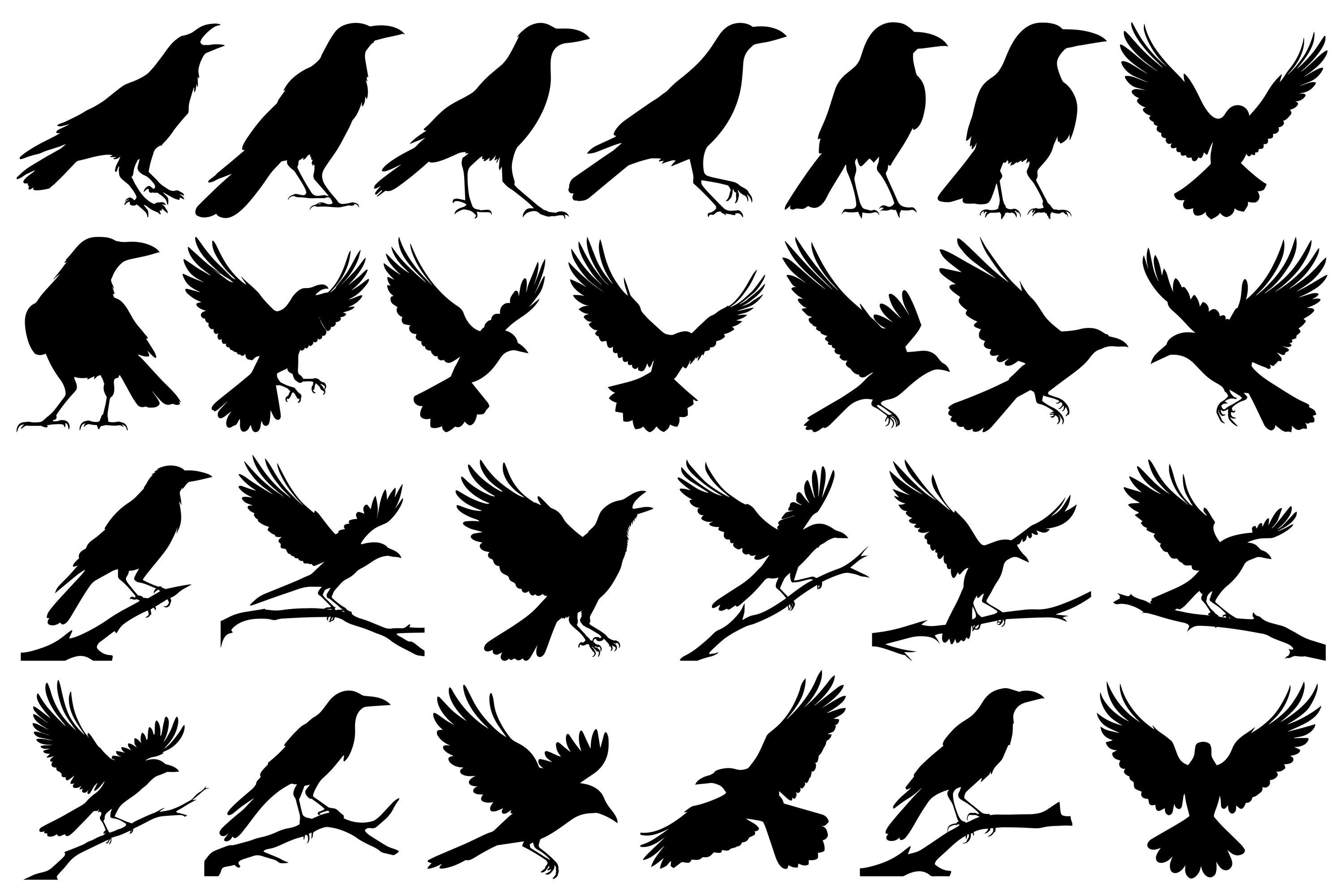 Crow Silhouettes, Crow SVG Bundle, Crows SVG, Crows PNG