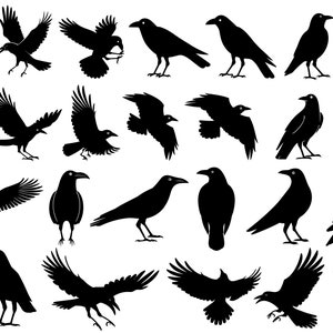 May include: A collection of 20 black crow silhouettes in various poses, including flying, perched, and with wings spread. The crows are all facing different directions.