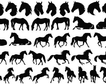 Sagome di cavalli / 36 disegni / Download digitale / Formati di file Eps, Jpg, Png, Svg