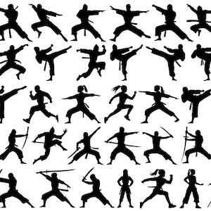 May include: Silhouettes of people in various martial arts poses. The figures are all in black against a white background. They are all in different stances and positions, demonstrating a variety of martial arts techniques.