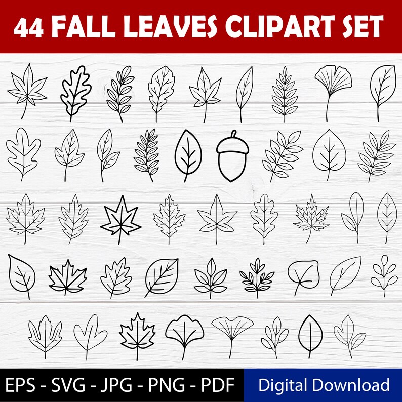 Fall Leaves Outline SVG PNG Bundle - 44 Autumn Botanical Leaves Clipart ...