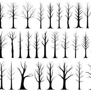 May include: A set of 20 black silhouette illustrations of bare trees. The trees are various heights and shapes, with branches reaching up and out.