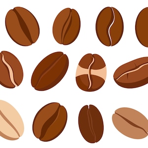 May include: A collection of coffee beans in various shades of brown, from light tan to dark chocolate. The beans are displayed against a white background, showcasing their different shapes and textures. Some beans are whole, while others are split.