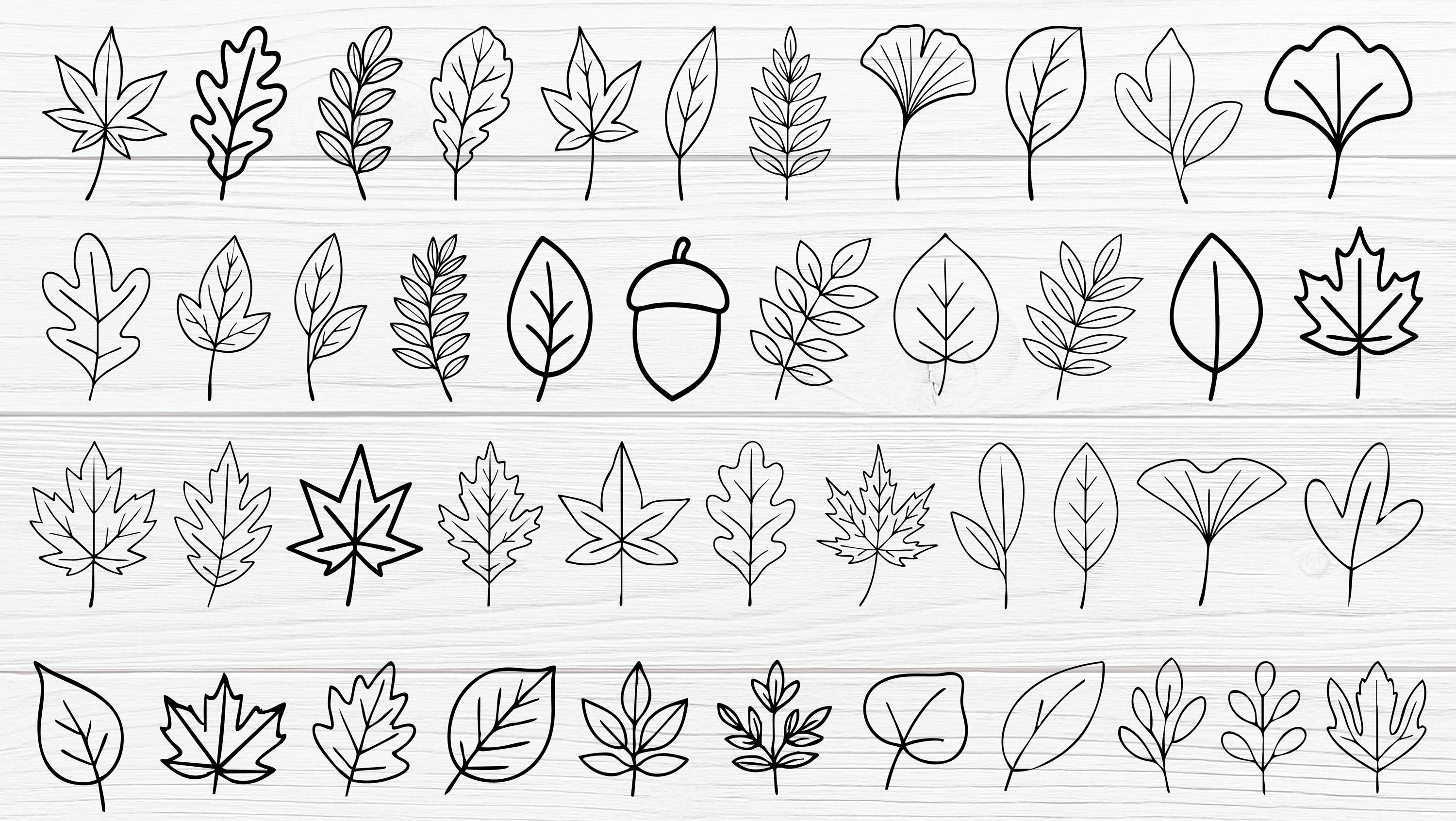 Fall Leaves Outline SVG PNG Bundle - 44 Autumn Botanical Leaves Clipart ...