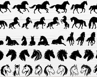 Paard SVG-bundel | 43 ontwerpen | Cricut-silhouet | Digitale download | Eps, jpg, png