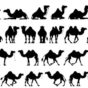 Camel Silhouette SVG, Camel SVG Bundle, Camels PNG, Camels Clipart, Camels Vector