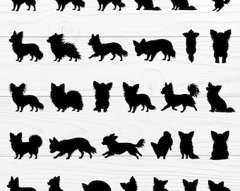 31 Long Coat Chihuahua Silhouettes Svg | Png, Jpg, Eps, and Pdf Files