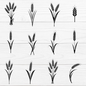 Puede incluir: Una colección de ilustraciones de trigo negro sobre un fondo de madera blanca. La imagen presenta varios arreglos de espigas de trigo, incluyendo tallos individuales, pares y manojos atados con una cinta. Los diseños son simples y elegantes, adecuados para varios proyectos.