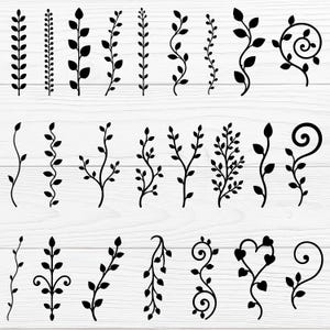 Puede incluir: Ilustraciones botánicas negras de varios tallos y hojas de plantas. La colección incluye una variedad de diseños, desde líneas simples de hojas hasta patrones más elaborados y arremolinados. Las imágenes están sobre un fondo blanco con vetas de madera.