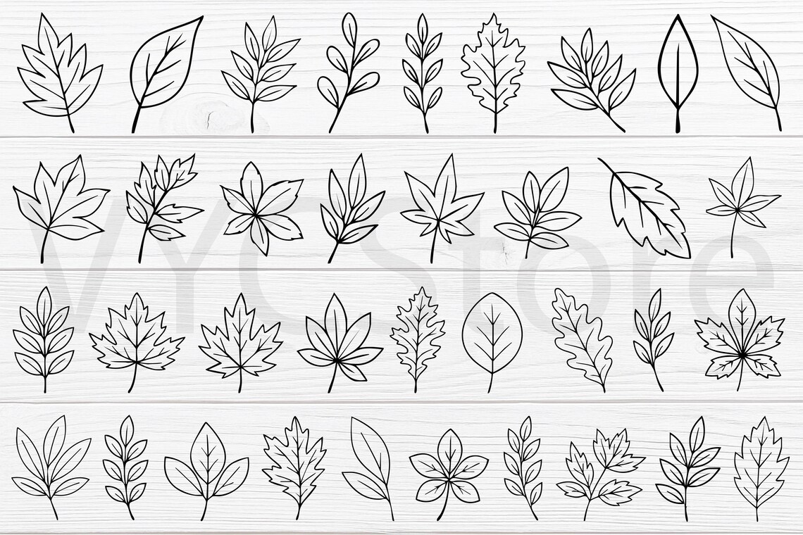 Fall Leaves Outline SVG PNG Bundle - 36 Autumn Botanical Leaves - Etsy