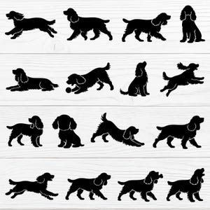 May include: A collection of black silhouette images of Cocker Spaniel dogs in various poses. The dogs are shown running, sitting, and playing, with a focus on their distinctive features.
