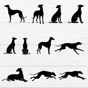 11 siluetas de galgos en formato SVG / imágenes PNG, JPG, EPS y PDF.